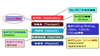 哈工大計算機網絡Week2 網絡應用數據交換與計算機編程