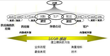 集成供應(yīng)鏈 軟件開(kāi)發(fā)視角下的體系重構(gòu)與價(jià)值創(chuàng)造