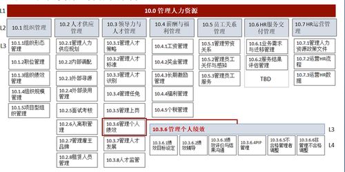 華為人力資源管理體系 驅(qū)動(dòng)軟件開(kāi)發(fā)創(chuàng)新與卓越的引擎